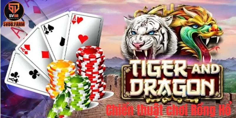 Rồng Hổ - Tựa Game Bài Đỉnh Cao Tại Live Casino SV88 Chiến thuật để anh em chơi hiệu quả