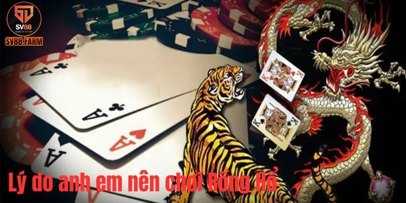 Rồng Hổ - Tựa Game Bài Đỉnh Cao Tại Live Casino SV88 Tại sao nên chơi Rồng Hổ tại SV88