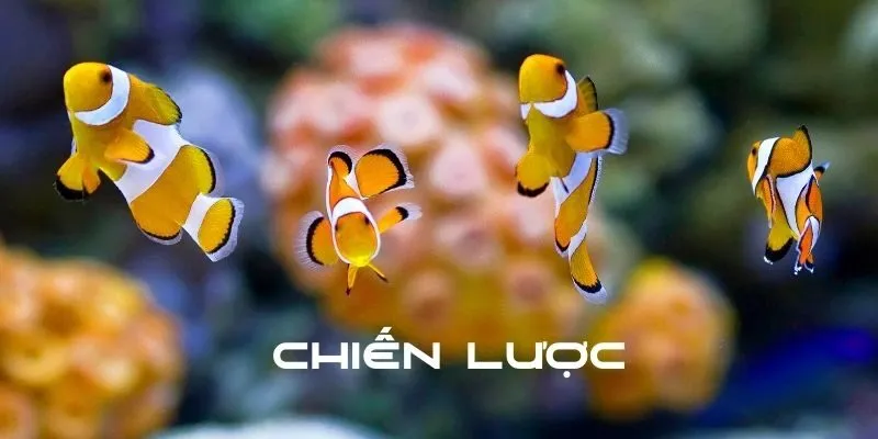 Cách Chơi Bắn Cá Online tại SV88 - Bí Quyết Thắng Lớn Trang bị chiến thuật đặc biệt, nâng cao cách chơi bắn cá online